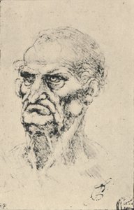 Cabeza de un Hombre Viejo Tres Cuartos a la Izquierda, c1480 1945 de Leonardo da Vinci