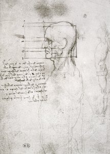 Cabeza de un Hombre Viejo en Perfil, copia facsímil de Leonardo da Vinci