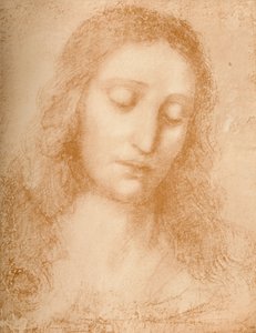 Cabeza del Redentor, siglo XV, 1932 de Leonardo da Vinci
