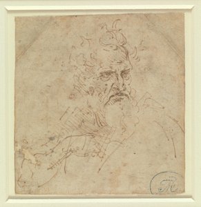 Cabeza de un anciano de aspecto severo con el brazo derecho de Leonardo da Vinci