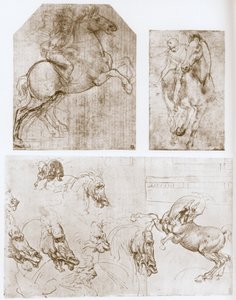 Jinete de Leonardo da Vinci
