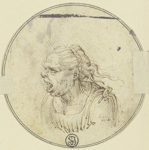 Caricatura de una mujer con la boca abierta, a medio cuerpo, de perfil hacia la izquierda de Leonardo da Vinci