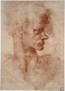 Leonardo da Vinci: Caricatura de retrato de un joven de Leonardo da Vinci