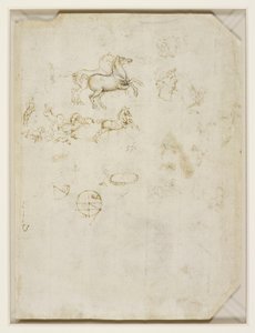 Leonardo da Vinci - Verso Caballos rampantes y cabeza de Nerón c.1503-4 de Leonardo da Vinci