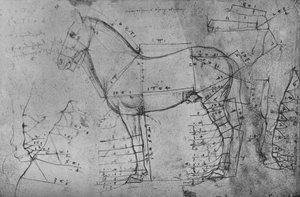 Dibujo medido de un caballo en perfil hacia la izquierda, c. 1480 1945 de Leonardo da Vinci