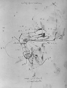 Dibujo medido de la pata delantera izquierda de un caballo, c. 1480 de Leonardo da Vinci