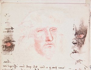 Notas sobre los cambios de dirección en vuelo, página manuscrita del Codici Rari III 35.2, fol. 10v del Tratado sobre el vuelo de los pájaros, 1505 de Leonardo da Vinci