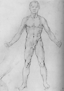 Hombre desnudo con los brazos extendidos, visto desde el frente, c1480