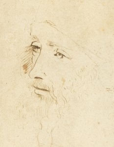 Retrato de Leonardo da Vinci, ca 1518 de Leonardo da Vinci,