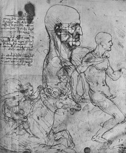 Perfil de un hombre cuadrado para proporción y estudios de jinetes, c.1480 de Leonardo da Vinci