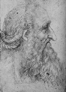 Perfil de un hombre viejo y barbudo a la derecha, c1480 1945 de Leonardo da Vinci