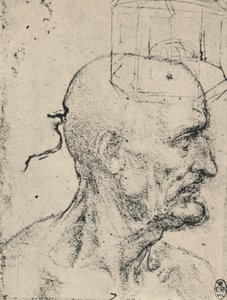 Perfil a la derecha de un hombre calvo, c1480 1945 de Leonardo da Vinci