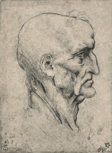Perfil a la derecha de un hombre mayor calvo, c. 1480 de Leonardo da Vinci