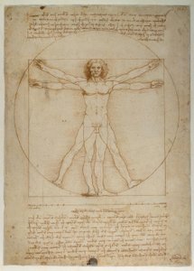 Esquema de proporciones de la figura humana según Vitruvio de Leonardo da Vinci