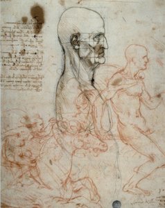 Esquema de proporciones de la cabeza humana y estudios de jinetes de Leonardo da Vinci
