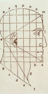 Estudio de proporciones de la cabeza humana de Leonardo da Vinci