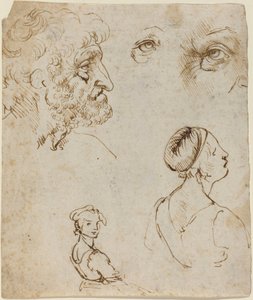 Hoja de estudios [recto] de Leonardo da Vinci