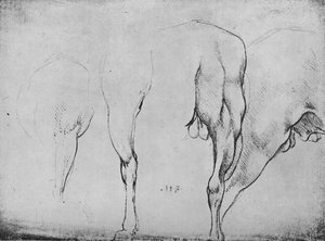 Estudios de patas de caballos, c1480 1945 de Leonardo da Vinci
