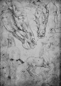 Estudios de caballos y de cabezas de caballos, c1480 1945