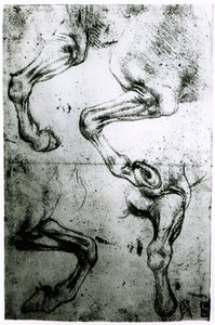Estudios de patas de caballos de Leonardo da Vinci