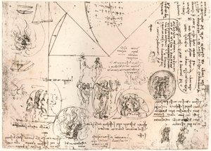 Estudios de emblemas, c1472-c1519 1883