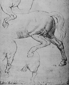 Estudios de las cuartas traseras y de las patas traseras de un caballo, c1480 1945