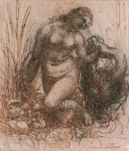 Estudio para Leda y el cisne