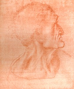 Estudio para la cabeza de Judas en `La Última Cena`, c1494-c1499 de Leonardo da Vinci