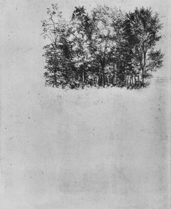 Estudio de un matorral, c1480 1945