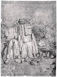 Estudio de una caverna rocosa con patos, 1482-1485 de Leonardo da Vinci