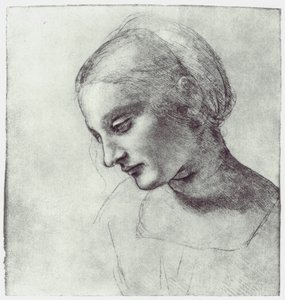 La cabeza de una Madonna, c1484-1486 de Leonardo da Vinci