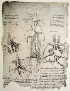 El corazón y la circulación, facsímil del libro de Windsor de Leonardo da Vinci