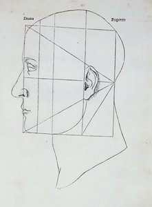 La Cabeza Humana, ilustración para 