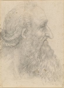 La cabeza de un anciano con barba, ca 1517 de Leonardo da Vinci