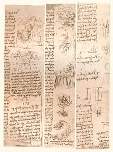 Tres dibujos, c1472-c1519 de Leonardo da Vinci