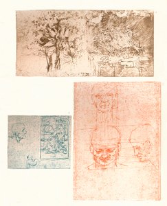 Tres dibujos, c1472-c1519 1883