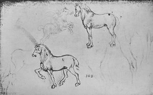 Dos estudios de caballos, uno de un jinete galopando y otros de patas de caballos, c. 1480
