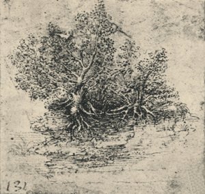 Dos Árboles en la Orilla de un Arroyo, c1480 1945 de Leonardo da Vinci