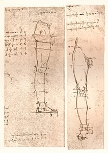 Dos dibujos que ilustran la teoría de las proporciones de la figura humana, c1472-c1519 1883