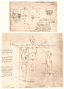 Dos dibujos que ilustran la teoría de las proporciones de la figura humana, c. 1472-c. 1519, 1883