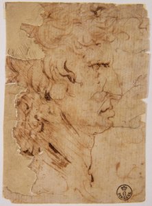 Imagen desconocida de Leonardo da Vinci