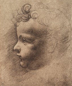 Cabeza de un niño pequeño