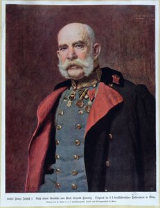 Retrato del Kaiser Franz Joseph I (1830-1916) 1904-5
