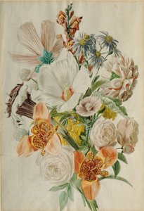 Ramo con Hibisco y Lirios de Leopold von Stoll
