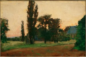 Atardecer sobre el paisaje renano