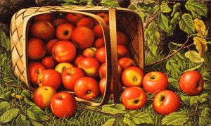 Cesta de manzanas