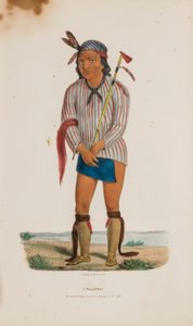 Un jefe sioux, de The Aboriginal Portfolio
