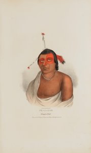 PE-A-JICK; Un Jefe Chippewa, de The Aboriginal Portfolio de Lewis, James Otto