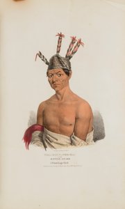 WAA-KAUN-SEE-KAA o la Serpiente Cascabel; Un Jefe Winnebago, de The Aboriginal Portfolio de Lewis, James Otto
