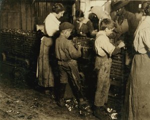 Jimmie de 10 años que ha estado pelando durante 3 años (6 potes al día) con un niño de 11 años que pela 7 potes en Varn und Platt Canning Co., Bluffton, Carolina del Sur, 1913 de Lewis Wickes Hine